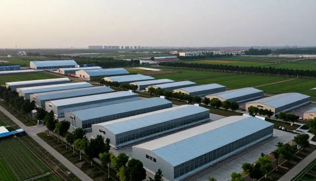 技术咨询如何支撑企业数字化转型中的技术实现